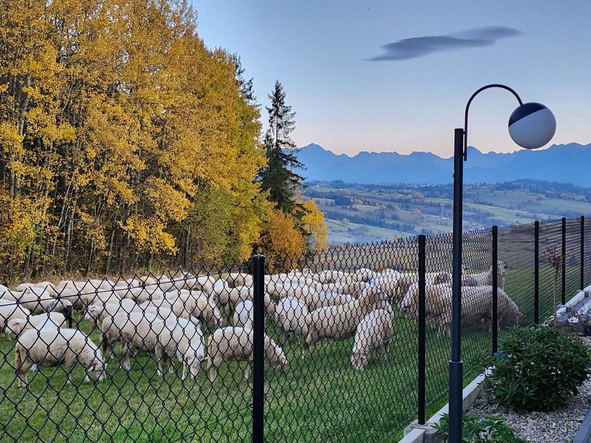 Dworek Nad Jalowcami Biały Dunajec Exteriér fotografie